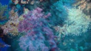 Chris Spheeris ♫ Крис Сфирис ~ Море и душа