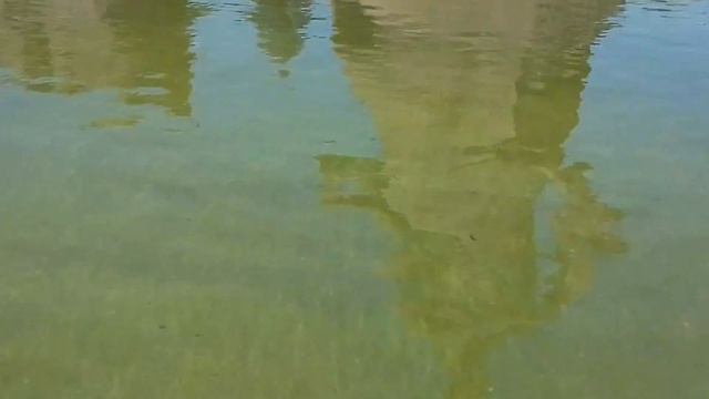 В Волгоград на Мамаев курган.#волгоград#сталинград#родинамать#сталинградская#мамаевкурган