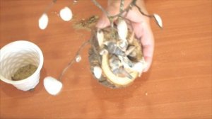 Дерево из ракушек своими руками / Поделки из ракушек своими руками