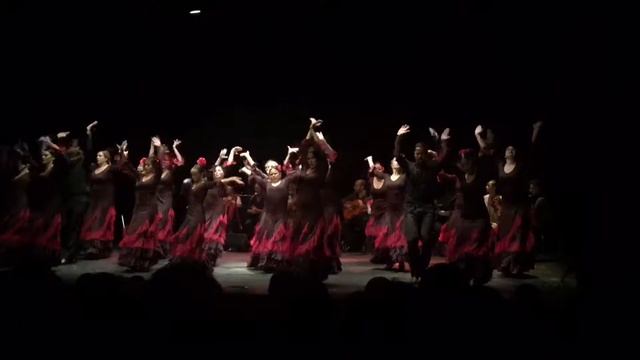 25 aniversario Escuela Flamenco La Tani смотреть онлайн