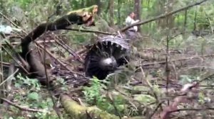 В Подмосковье расследуют крушение истребителя Су-27