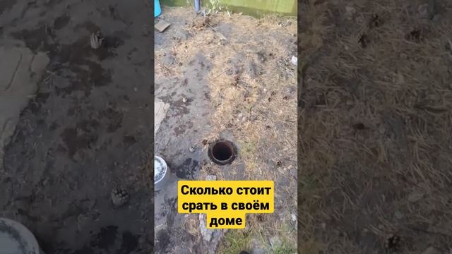 Сколько стоит срать в своём доме?? #житьвсвоемдоме #живунадаче #сколькостоитсрать #септик смотреть онлайн