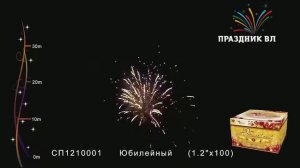 Салют Юбилейный, 100 залпов