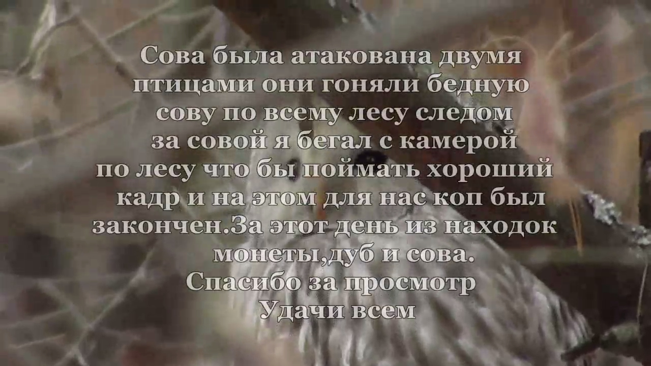 Видеооператор увидел и забыл про коп