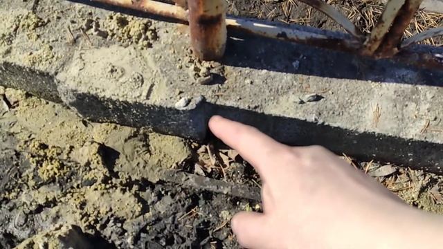 МНОГОЛЕТНИЕ ЦВЕТЫ ИЗ ФИКСПРАЙСА! КАК ПРОРОСТИТЬ ГЕОРГИНЫ?! ВЕСНА! ВЛОГ