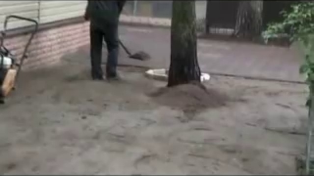 отсев.площадка.всеволожск.достоевского. смотреть онлайн