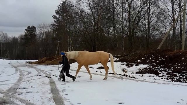 Прогулка в поле смотреть онлайн