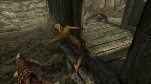 Skyrim SOCIAL EXPERIMENT GONE DEADLY MUST WATCH