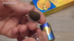 Шарики Золотой Олень — Erkaklarning potensiasini tiklash va kuchaytirishga uchun