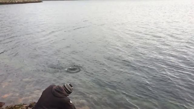 Берег моря, Баренцево.