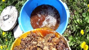 Как правильно перетапливать пчелиный воск для обмена на вощину. Конструкции воскотопок.