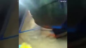 Покраска авто с элементами металика