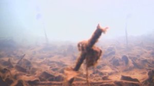 Видео камеры для рыбной ловли подо льдом