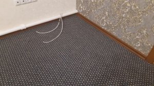 укладка ковролина под плинтус.голубой павлин алмазная мозаика.