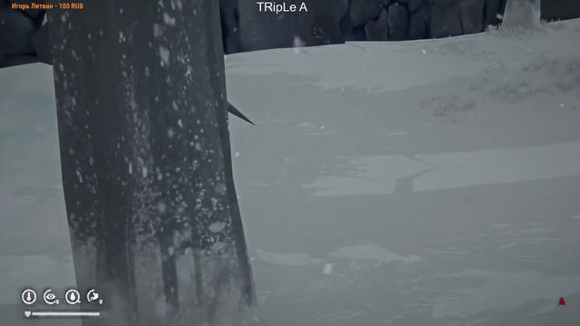 The Long Dark -- Кастом  выживание 1 (декабрь 2020)стрим 1 смотреть онлайн