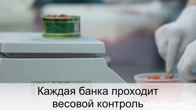 Производство красной икры на РКЗ "Русский Рыбный Мир" смотреть онлайн