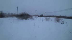охота на зайца в Ленинградской области сезон 2023-2024 #4