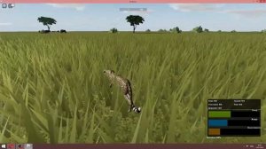 Гепард Cheetah !!! Охота Hunting . Дикая Саванна / Wild Savanna Роблокс / Roblox