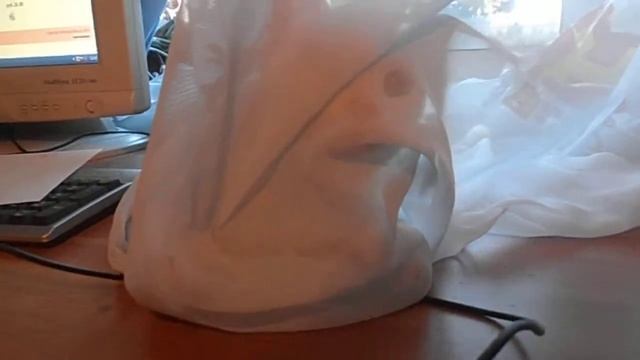 кошка в тюли смотреть онлайн