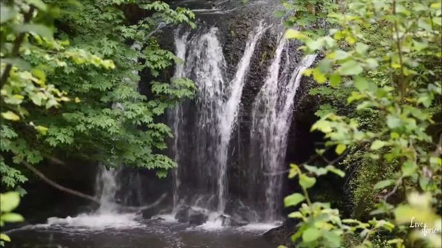 Знаешь ли ручей, что бежит. смотреть онлайн