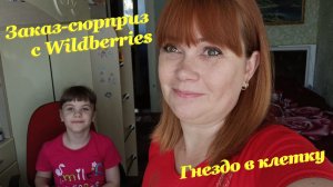 Поставили гнездо в клетку к птичкам?❤? / Заказ-сюрприз с Wildberries? / Уроки? / Тбилисская