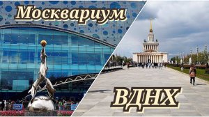 Москвариум ВДНХ май 2023г. Океанариум.