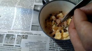 Чем кормить птенцов ласточки.