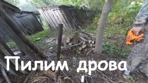 Кушаем кислые ЯБЛОЧКИ, пилим ДРОВА. Эксперименты с СУПЕР средством для кухни!