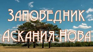 Заповедник Аскания-Нова