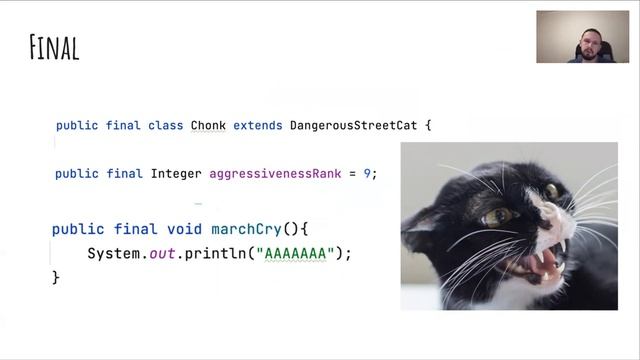Java котики - урок 4 смотреть онлайн