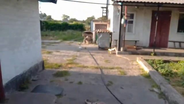 Обращайтесь за помощью к Матушке светлане , если надо продать щенков.