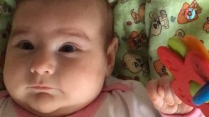 Стихотворение Марины Цветаевой «Мирок», читает Евгения Костанян