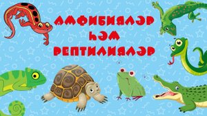 БӘБИ СҮЗ: Амфибияләр һәм рептилияләр / Амфибии и рептилии / Amphibians and reptiles