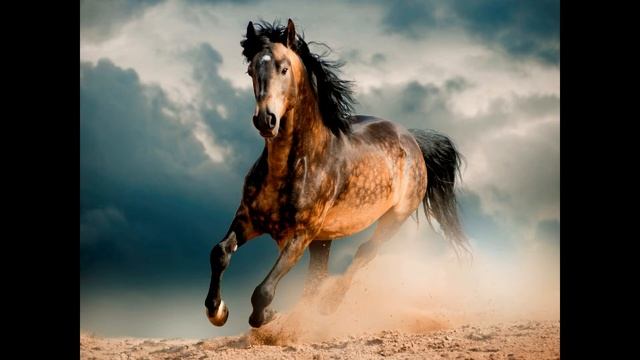 ♥ красивые фото ► красивые картинки ☆