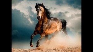 ♥ красивые фото ► красивые картинки ☆