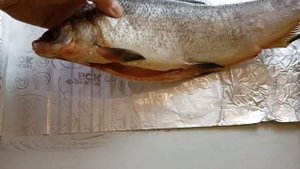 МУКСУН В ДУХОВКЕ