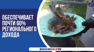 Сочи занимает первое место в Краснодарском крае по объему курортно-туристских услуг
