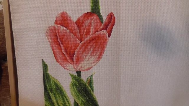 СП " Цветочные фантазии ???", 2 отчет смотреть онлайн