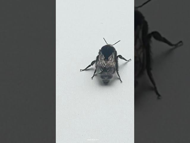 26 мая 2023 г. смотреть онлайн