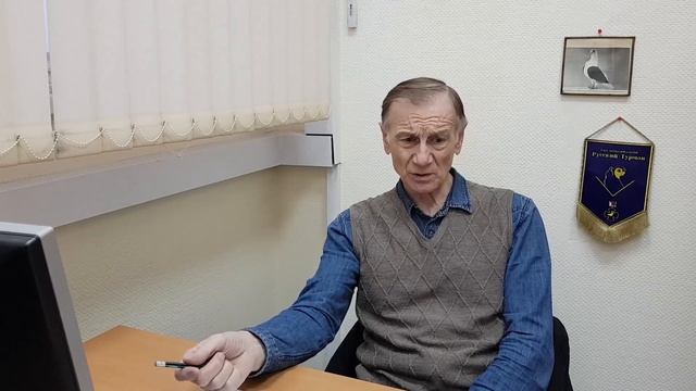 Голуби породы чайки. Лекция девятая. О чайках. Константин Шарпов.