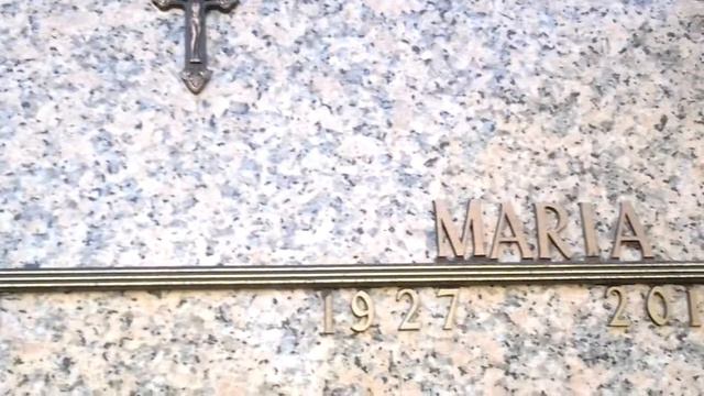 Gladiolas & Disney Balloon (Vid 7, 11-16-15 Mon) смотреть онлайн