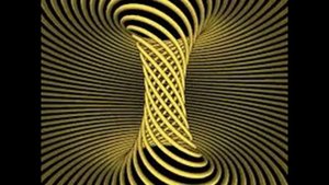 Торсионные поля Вашего организма