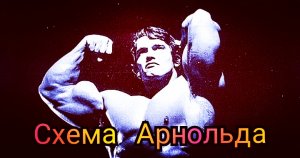 Схема тренировок Арнольда Шварценеггера.Канал - "Персональный тренер Тюмень" фитнес-тренинг в Тюмени