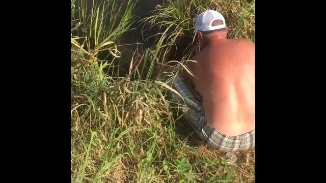 Рыбалка «Дубки» смотреть онлайн