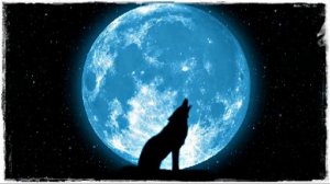 Песня одинокого  волка