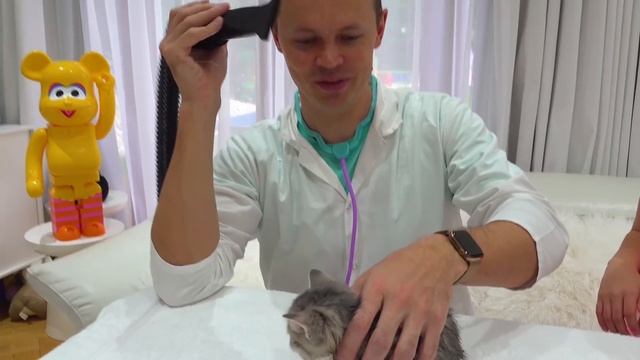 Катя и Макс купают котят смотреть онлайн