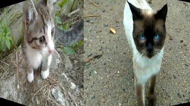 Наступает лето смотреть онлайн