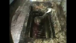 Колбасный цех ужас