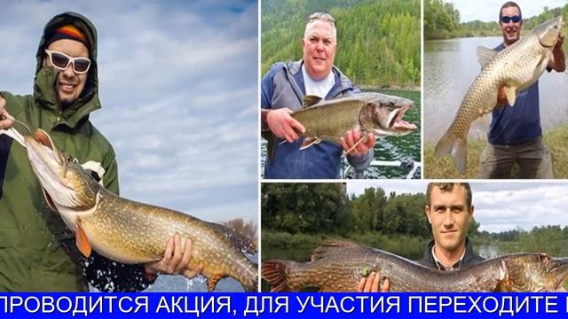 Fish Hunt Развод смотреть онлайн