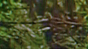 Обзор топового монитора SANC N50PRO II/M2442 165 герц за 12к